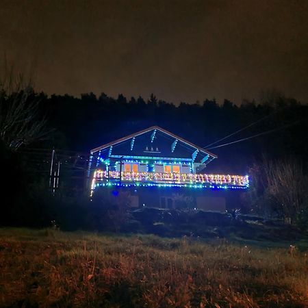Le Chalet Des Amis Aurec-Sur-Loire Экстерьер фото